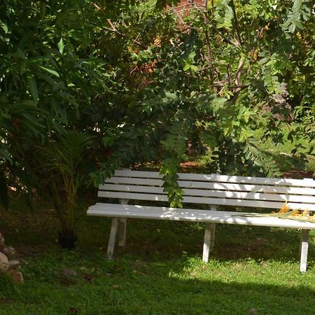 Residence De Vacances Mon Refuge - Bungalow De Type T3 Grande Anse Εξωτερικό φωτογραφία