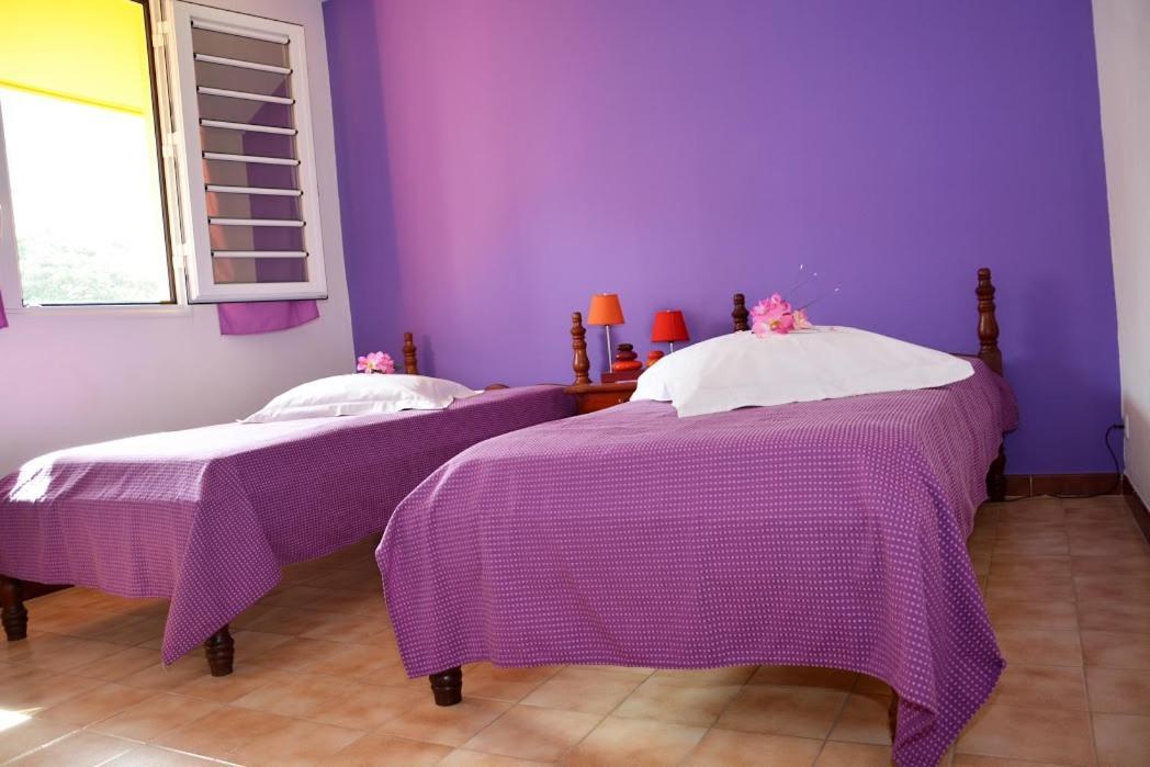 Residence De Vacances Mon Refuge - Bungalow De Type T3 Grande Anse Εξωτερικό φωτογραφία