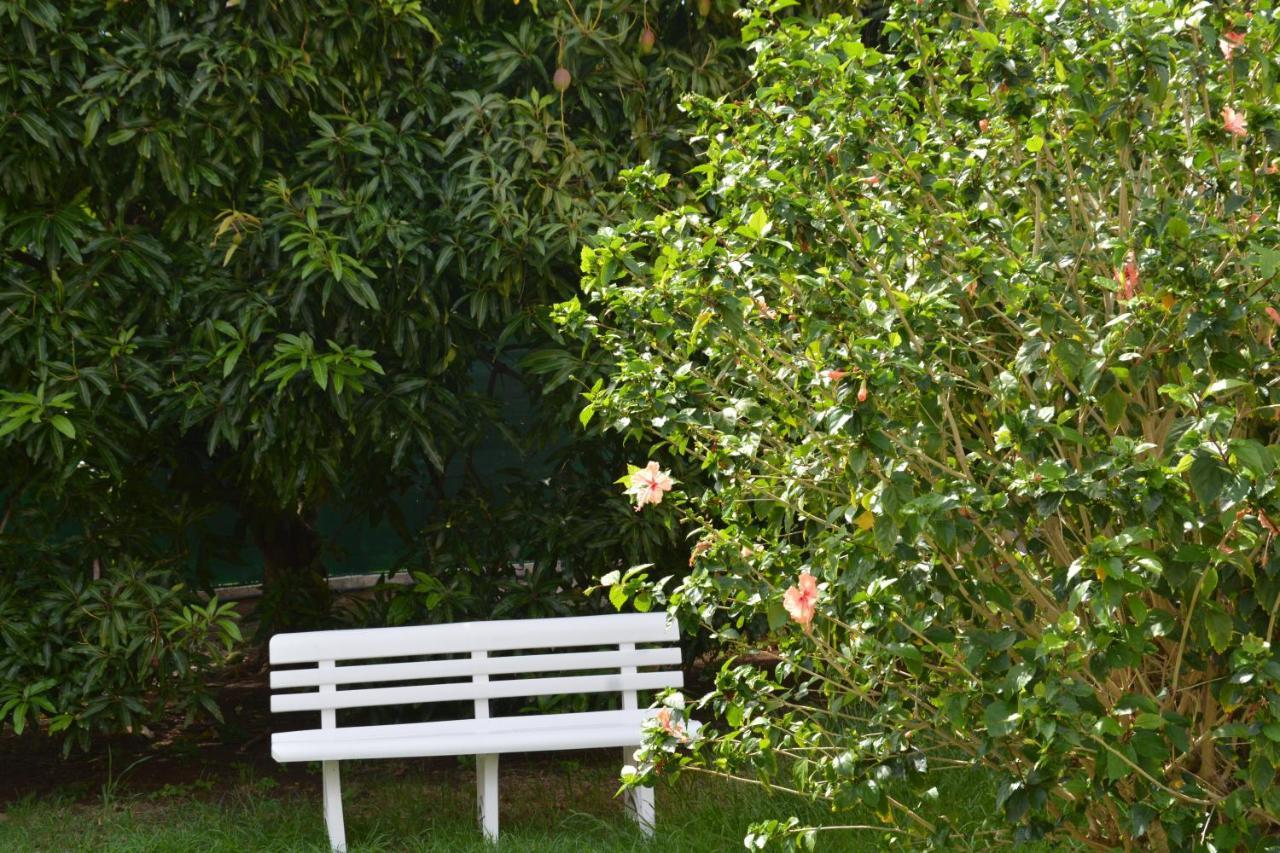 Residence De Vacances Mon Refuge - Bungalow De Type T3 Grande Anse Εξωτερικό φωτογραφία