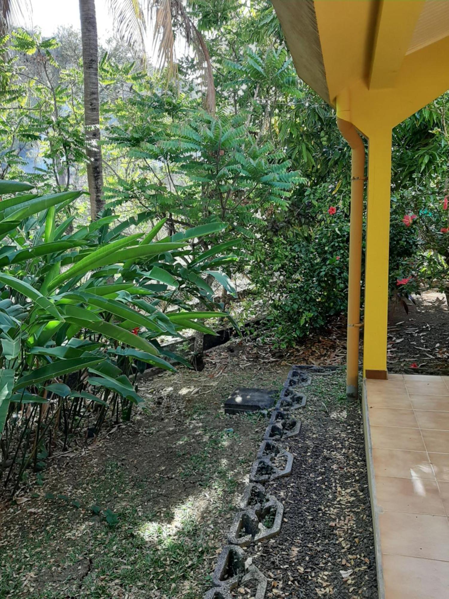 Residence De Vacances Mon Refuge - Bungalow De Type T3 Grande Anse Εξωτερικό φωτογραφία