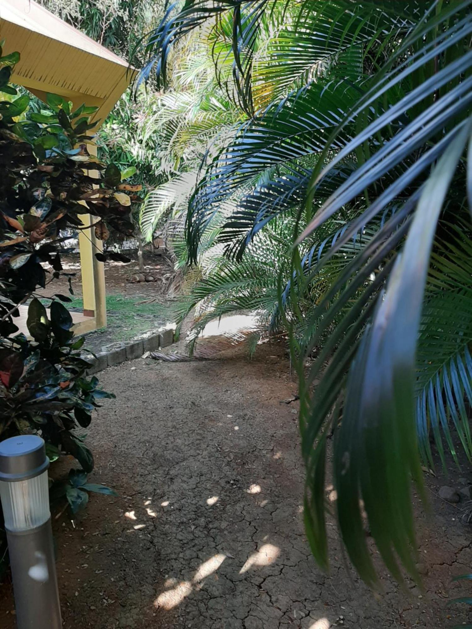 Residence De Vacances Mon Refuge - Bungalow De Type T3 Grande Anse Εξωτερικό φωτογραφία
